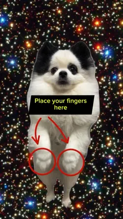 Funny Xmas Puppy
