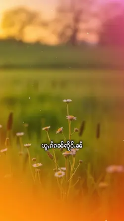 သႂ်ႇၶႅပ်းႁၢင်ႈသူ 1