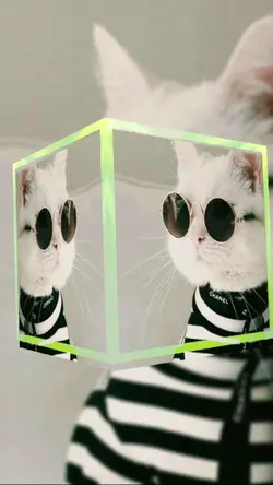kucing 3d
