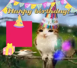 birthday 