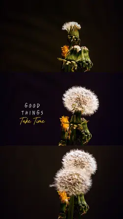 3 horizontal videos
