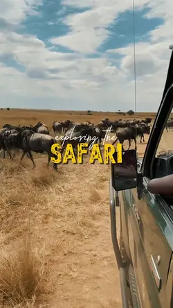exploring the safari