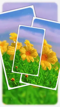 Aesthetic Flower