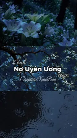 nợ uyên ương remix