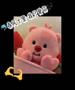 文案：春风十里 我只爱你