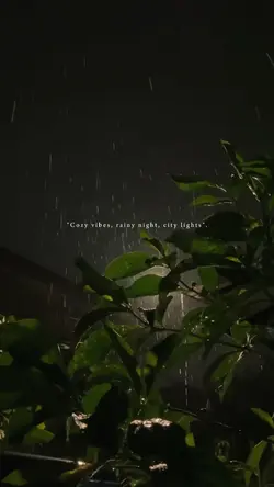 rainy aesthetic