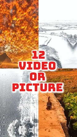 12 video or picture 