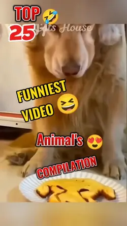 Funniest Videos