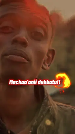 Machaa'anii dubbatu!