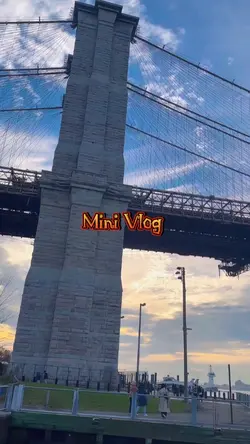 Vlog 