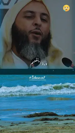 لن ينفع الندم