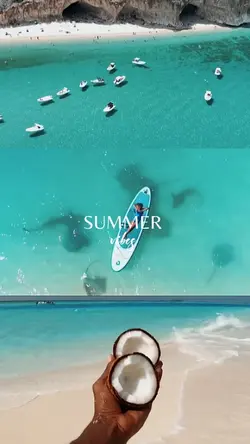 summer vibes 