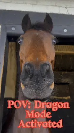 Dragon Horse Mode