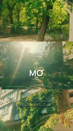 Mơ