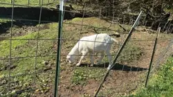 Farm and nature