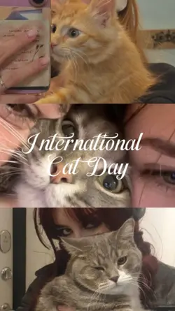 Cat Day