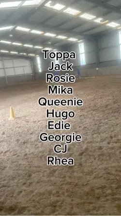 Horse ive ridden 