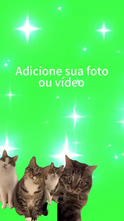 Gatinhos.