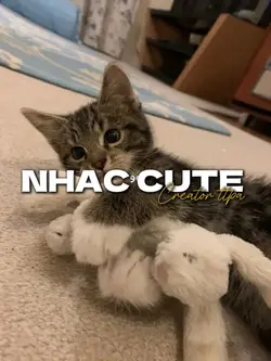 nhạc cute