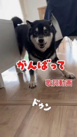 がんばって!