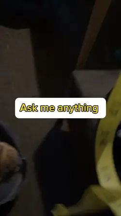 Ask me anything