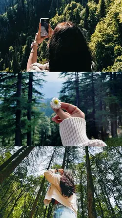 3 photos