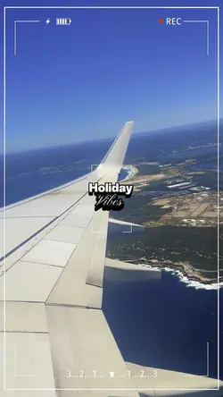 Holiday Vibes