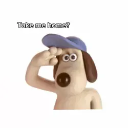 Take me home!
