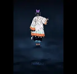 🦋Shinobu 