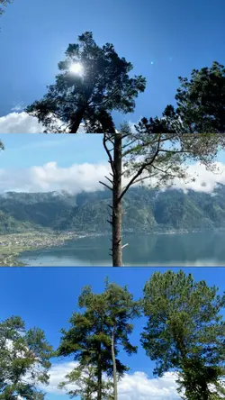 1 VIDEO 2 FOTO