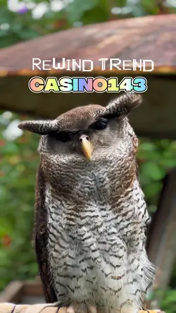 Casino143 rewindtren