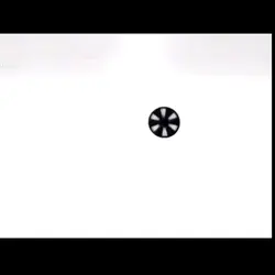 SPG~