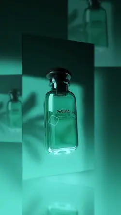 promotion 1 video