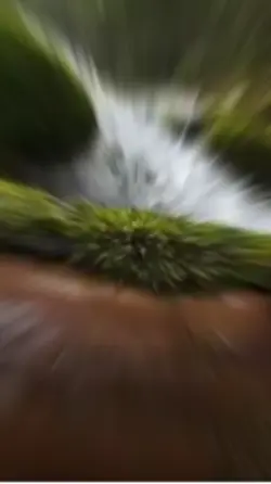 New Template 