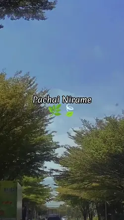 Nature Vibes
