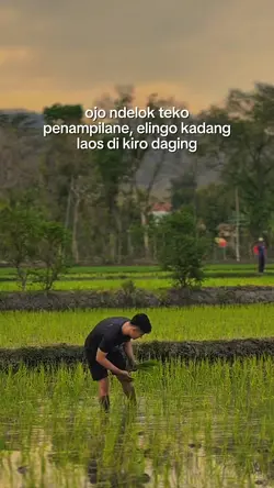 Bahan sw