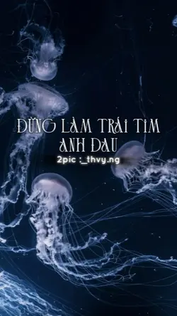 Đừng Làm Trái Tim 