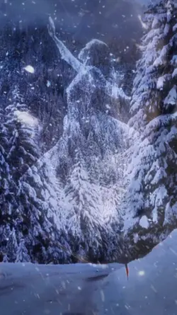 WINTERS BEAUTY