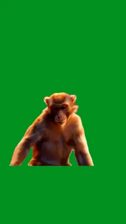 dancing monk