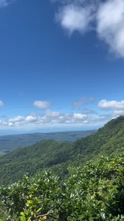 “ Lovely view” 
