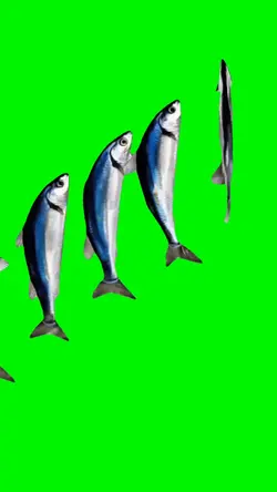Yodeling Fish