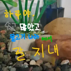 하나뿐인 하루야 안녕