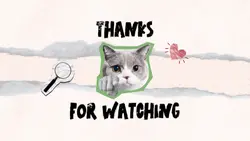 Cat Outro 2