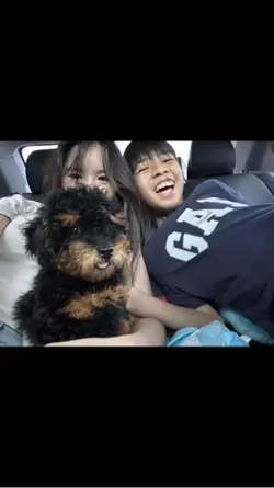 Daily Vlog