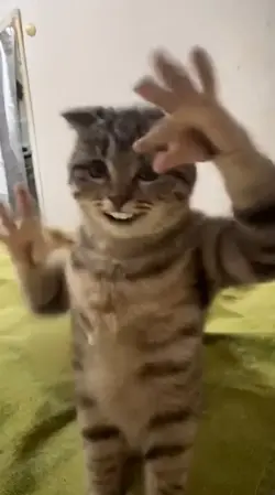 ai dances