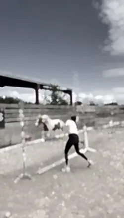 Saut