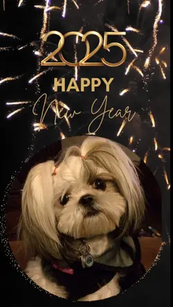 happy new year pet