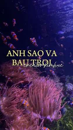 em đừng bao giờ khóc