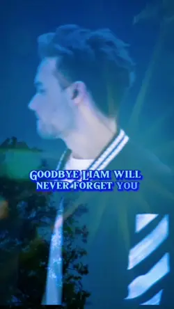 Goodbye Liam Payne 