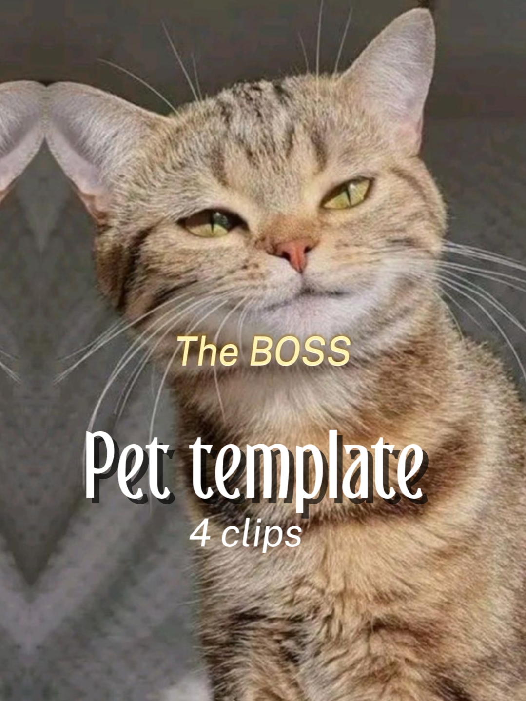 capcut template cover